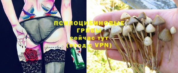 шишки Армянск