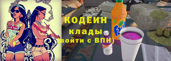 шишки Армянск
