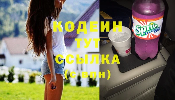 шишки Армянск