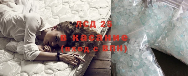 шишки Армянск